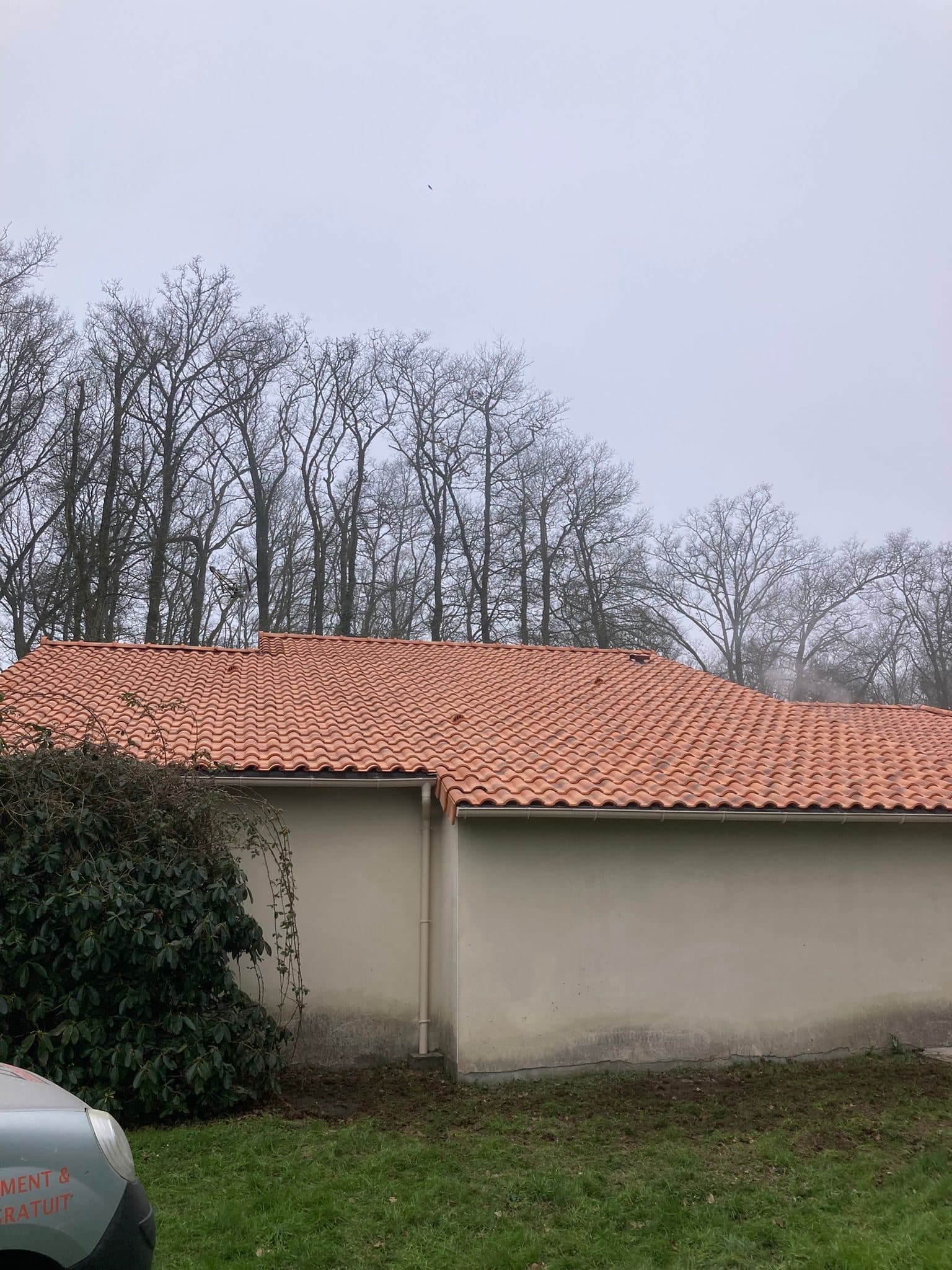 Après — Démoussage toiture complète